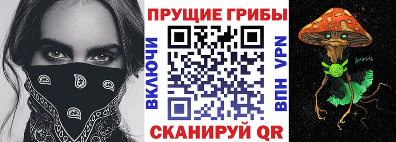 Галлюциногенные грибы MAGIC MUSHROOMS  наркошоп  Буй 