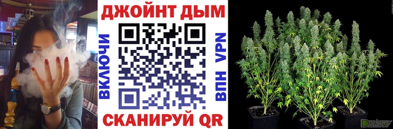 где найти   Буй  Канабис семена 