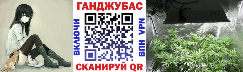 Каннабис планчик Буй